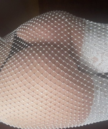 Лариса, Проститутка